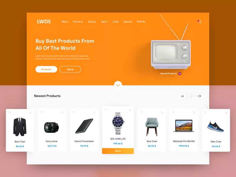 ecommerce custom web design services